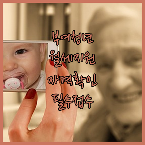 부여군 청년월세지원 무주택 청년 대상자 확인과 접수처