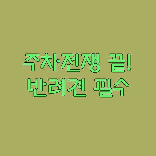 순창 벚꽃 축제 주차장 위치와 반려동물 동반 방문 방법