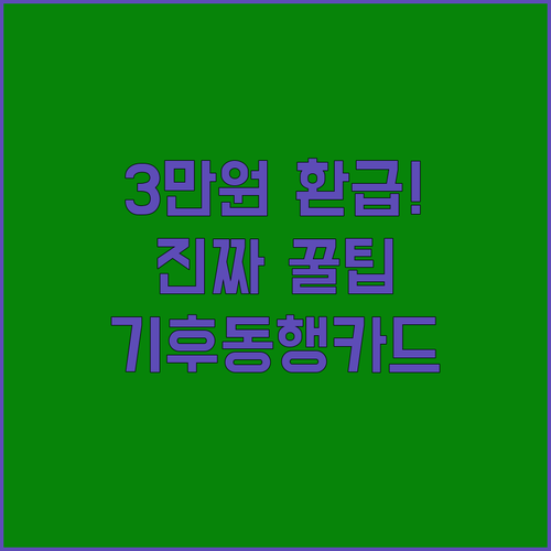 2026년 기후동행카드 월 최대 3만원 환급