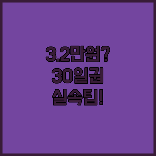 기후동행카드 30일권 실질 비용 3만 2천 원