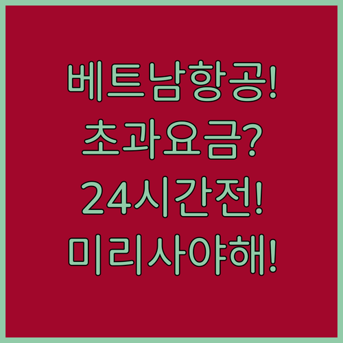 베트남항공 초과 요금 피하는 꿀팁 | 출발 24시간 전 사전 구매