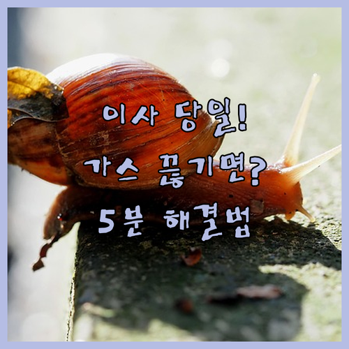 image 05d134c4