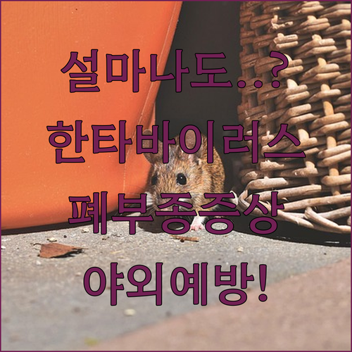 image a04e19f2