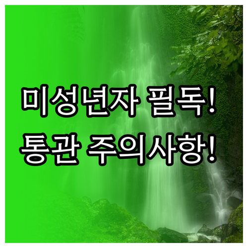 미성년자 개인통관고유부호 발급부터 통관 주의사항까지