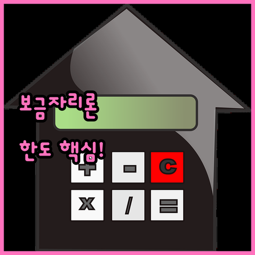 보금자리론 한도 확인에 필요한 부채·소득 정보