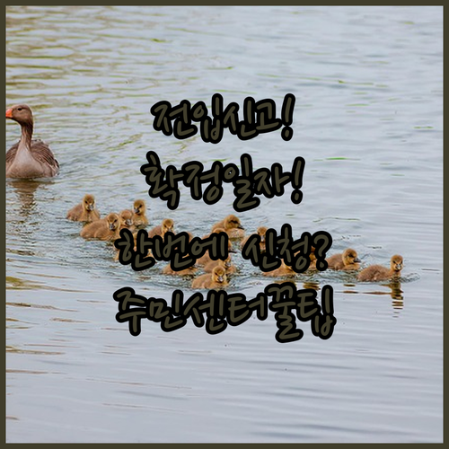 image 9a10d4f4