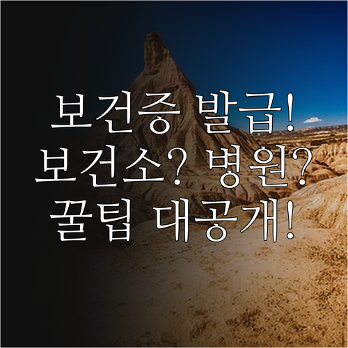 보건증 보건소 발급과 지정 의료기관 이용 방법