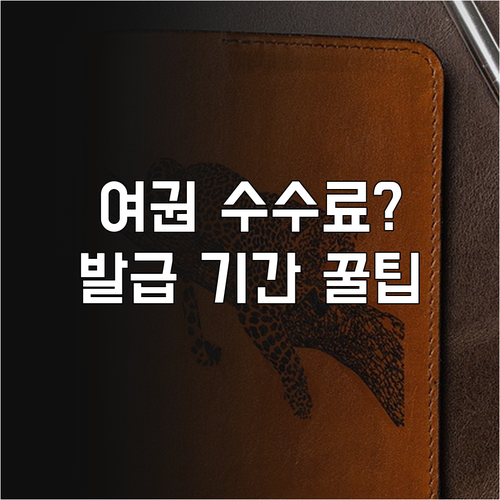 여권 10년 복수 53,000원, 종류별 수수료와 발급 기간