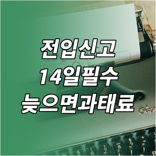 전입신고 14일 기한과 늦었을 때 과태료