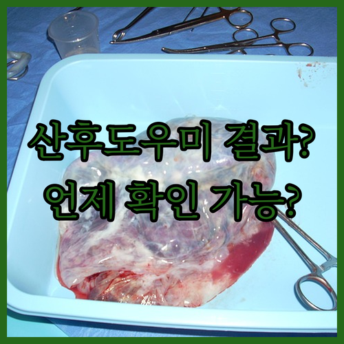 image dc307e51